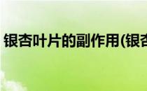 银杏叶片的副作用(银杏叶片的副作用是什么)