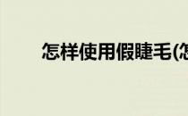 怎样使用假睫毛(怎样使用假睫毛夹)