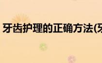 牙齿护理的正确方法(牙齿护理的正确方法是)