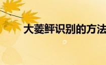 大菱鲆识别的方法(大菱鲆又叫什么)
