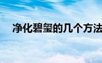 净化碧玺的几个方法(碧玺可以净化水吗)