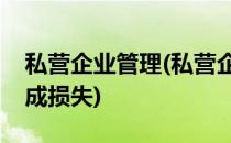 私营企业管理(私营企业管理人员滥用职权造成损失)