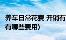 养车日常花费 开销有哪些(养车日常花费 开销有哪些费用)