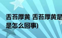 舌苔厚黄 舌苔厚黄是怎么回事(舌苔非常厚黄是怎么回事)