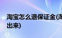 淘宝怎么退保证金(淘宝店铺的保证金怎么退出来)