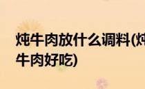 炖牛肉放什么调料(炖牛肉放什么调料才好炖牛肉好吃)