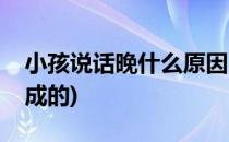 小孩说话晚什么原因(小孩说话晚什么原因造成的)