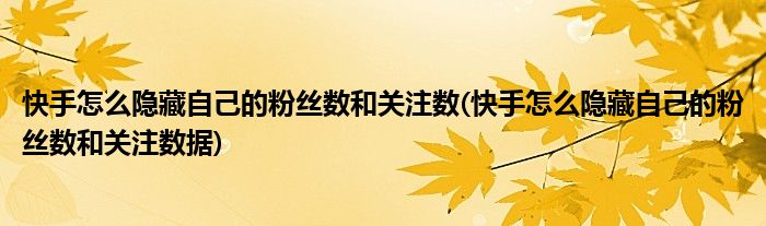 快手怎么隐藏自己的粉丝数和关注数(快手怎么隐藏自己的粉丝数和关注数据)