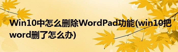 Win10中怎么删除WordPad功能(win10把word删了怎么办)