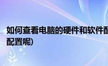 如何查看电脑的硬件和软件配置(如何查看电脑的硬件和软件配置呢)
