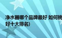 净水器哪个品牌最好 如何挑选家用净水器(净水器哪个牌子好十大排名)
