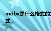 mdbx是什么格式的文件 mdb是什么文件格式