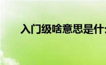 入门级啥意思是什么 入门级什么意思