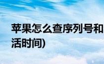 苹果怎么查序列号和激活时间(苹果怎么查激活时间)