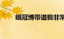 峨冠博带道貌非常的意思 峨冠博带