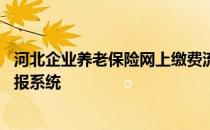 河北企业养老保险网上缴费流程 河北省企业养老保险网上申报系统