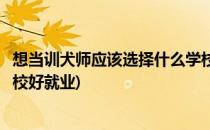 想当训犬师应该选择什么学校好(想当训犬师应该选择什么学校好就业)