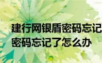 建行网银盾密码忘记了怎么办呢 建行网银盾密码忘记了怎么办