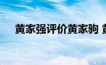 黄家强评价黄家驹 黄家强说黄家驹没死