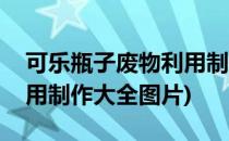 可乐瓶子废物利用制作大全(可乐瓶子废物利用制作大全图片)