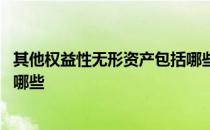 其他权益性无形资产包括哪些科目 其他权益性无形资产包括哪些