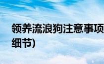 领养流浪狗注意事项(领养流浪狗注意事项和细节)