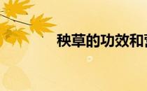 秧草的功效和营养价值 秧草