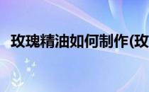 玫瑰精油如何制作(玫瑰精油如何制作视频)