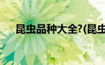 昆虫品种大全?(昆虫品种大全图片名字)