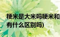 粳米是大米吗粳米和大米的区别(粳米和大米有什么区别吗)