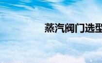蒸汽阀门选型 蒸汽调节阀
