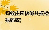 蚂蚁庄园核磁共振检查答案是什么(做核磁共振蚂蚁)
