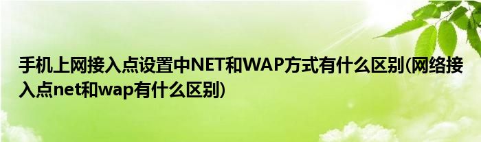 手机上网接入点设置中NET和WAP方式有什么区别(网络接入点net和wap有什么区别)