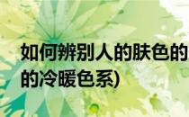 如何辨别人的肤色的冷暖(如何辨别人的肤色的冷暖色系)