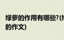 绿萝的作用有哪些?(绿萝的作用有哪些三年级的作文)
