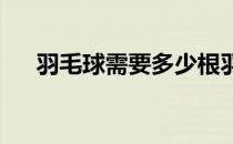 羽毛球需要多少根羽毛(羽毛球 多少根)