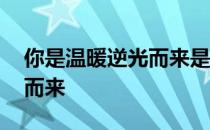 你是温暖逆光而来是什么意思 你是温暖逆光而来