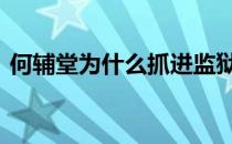 何辅堂为什么抓进监狱 何辅堂为什么进监狱