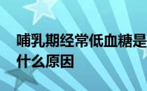 哺乳期经常低血糖是什么原因 经常低血糖是什么原因