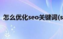 怎么优化seo关键词(seo关键词优化的技巧)
