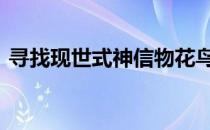寻找现世式神信物花鸟卷 寻找现世式神信物