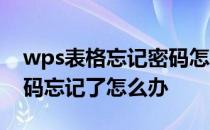 wps表格忘记密码怎样简单找回 wps表格密码忘记了怎么办