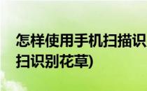 怎样使用手机扫描识别花草等万物(手机扫一扫识别花草)