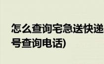 怎么查询宅急送快递单号信息(宅急送快递单号查询电话)