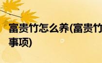 富贵竹怎么养(富贵竹怎么养?养殖方法和注意事项)