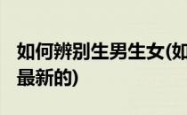 如何辨别生男生女(如何辨别生男生女2000的最新的)
