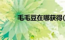 毛毛豆在哪获得(毛毛花在哪获得)