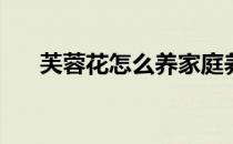 芙蓉花怎么养家庭养法(芙蓉花如何养)