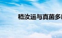 嵇汝运与真菌多糖的故事 嵇汝运