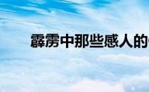 霹雳中那些感人的CP(霹雳感人退场)